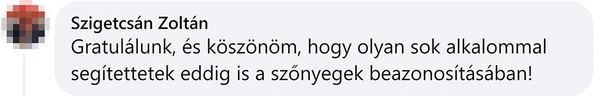 Ügyfél vélemény 13